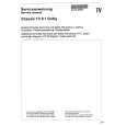 SCHNEIDER TV8.1 DOLBY Manual de Servicio