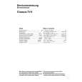 SCHNEIDER CTV2807.8 Manual de Servicio